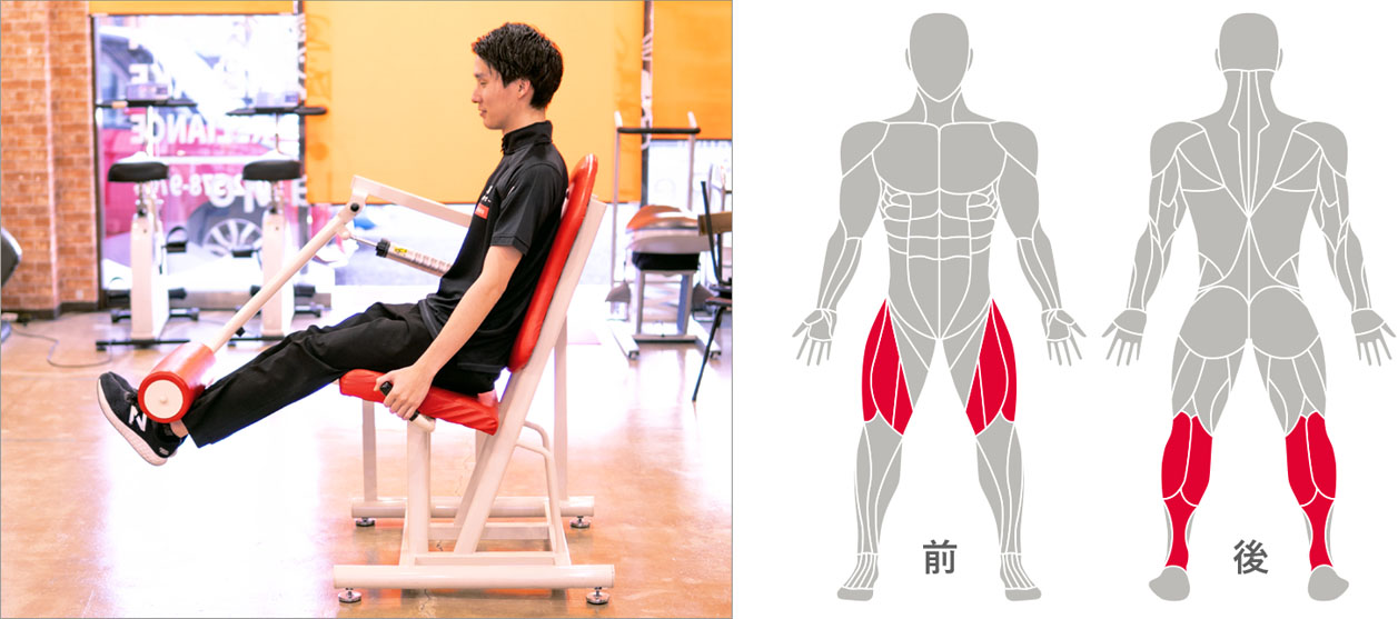 「レッグエクステンション」：足を持ち上げる力、段差の安定感向上。
