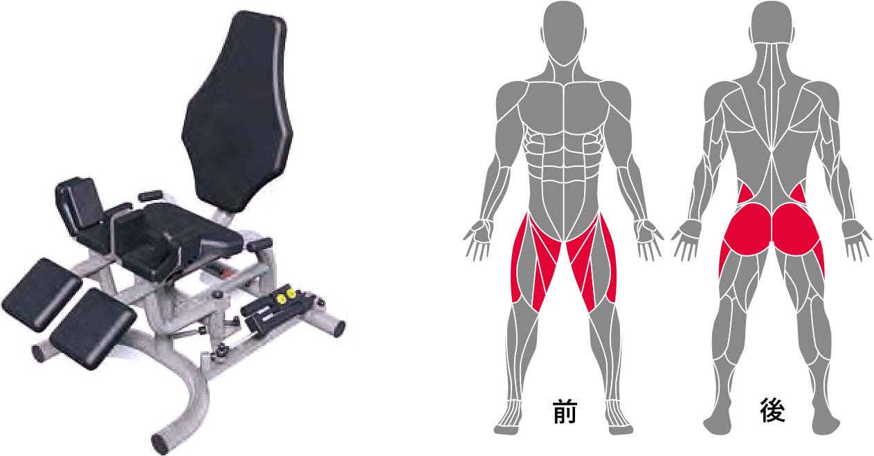 「アブダクター / アダクター」:股関節を「開く・閉じる」ために必要な筋肉を全体的に鍛えます。