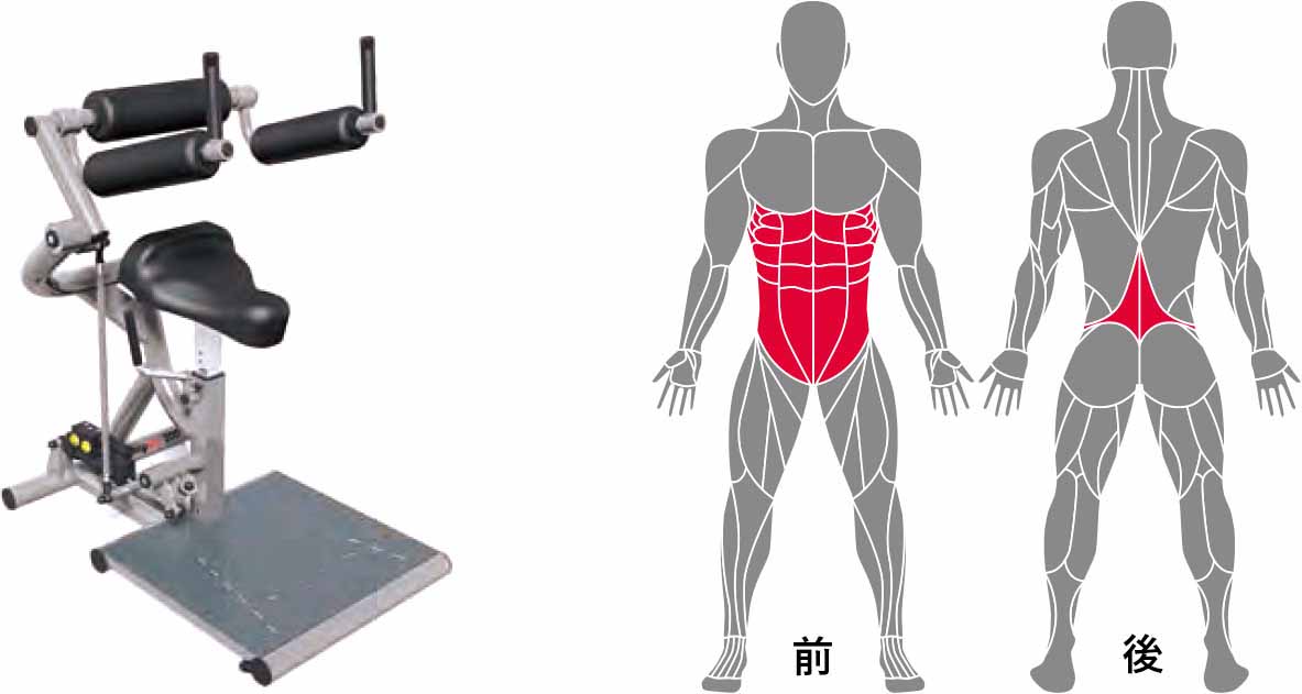 「バックエクステンション / フレクション」:胴体の「曲げ伸ばし」動作を行う際に必要な筋肉を鍛えます。