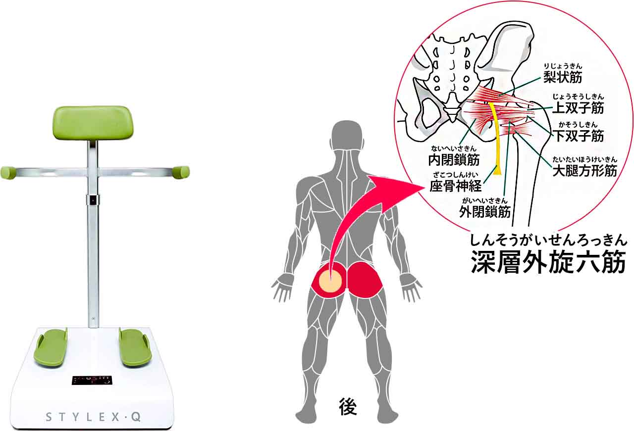 「スタイレックス」:股関節を回すために必要な筋肉を鍛えます。